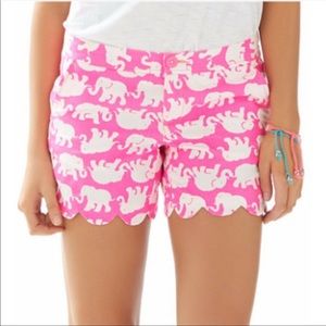 LILLY PULITZER Pink Elephant Buttercup Shorts Tusk In Sun' scalloped hem